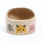 Миска керамическая «Хомячок» 65 мл, 6.3×4.5 см, бежевая с принтом - Фото 2