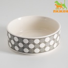 Миска керамическая «Горошек» 200 мл - 10.5×10.5×4 см, серая/белая - Фото 2
