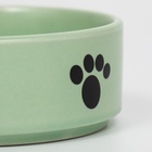 Миска керамическая «Лапки» 200 мл - 10.5×10.5×4 см, мятная - Фото 5
