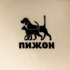 Миска керамическая со скошенным краем "Верный пес", 10,5 х 5,6 см, бело-зеленая - Фото 7
