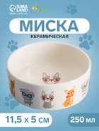 Миска «Важный пес», 250 мл, 11.5×11.5×5 см, керамика, белая - Фото 1