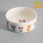 Миска «Важный пес», 250 мл, 11.5×11.5×5 см, керамика, белая - Фото 2