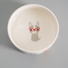 Миска «Важный пес», 250 мл, 11.5×11.5×5 см, керамика, белая - Фото 4