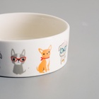 Миска «Важный пес», 250 мл, 11.5×11.5×5 см, керамика, белая - Фото 5