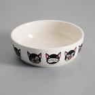 Миска керамическая «Эмоджи» 250 мл - 12×12×3.5 см, белая - Фото 1