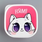 Ланч - бокс квадратный «Котик», 700 мл - Фото 2