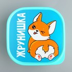 Ланч - бокс квадратный «Жрунишка», 700 мл - Фото 3