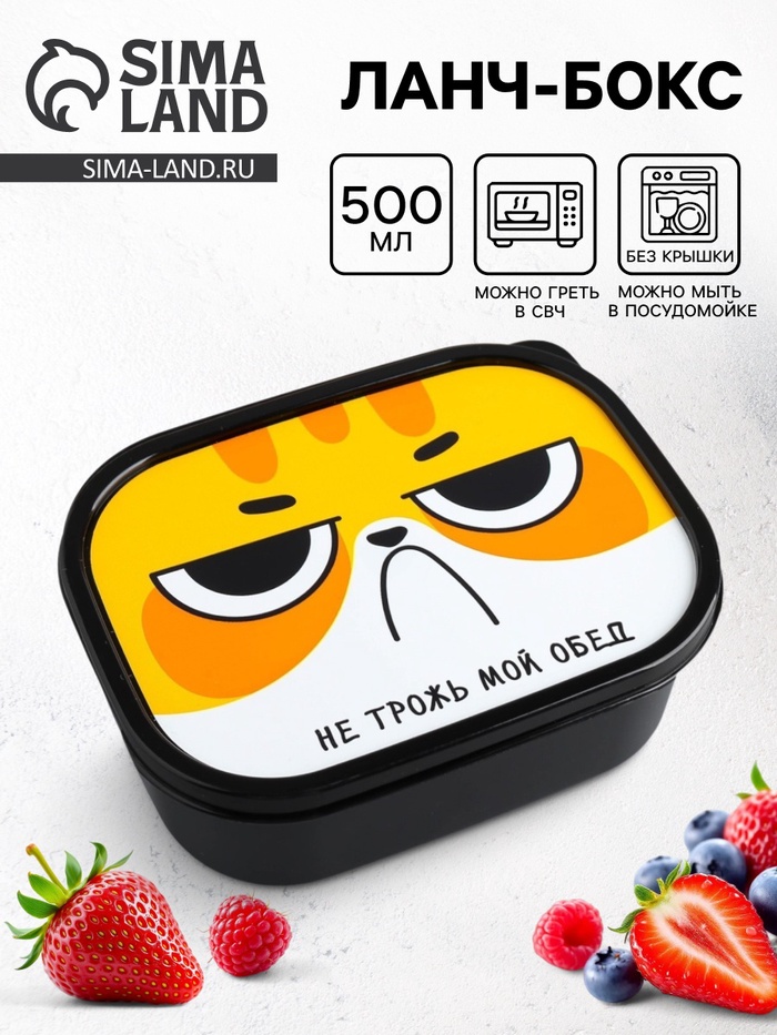 Ланч - бокс прямоугольный «Не трожь мой обед», 500 мл
