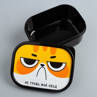 Ланч - бокс прямоугольный «Не трожь мой обед», 500 мл