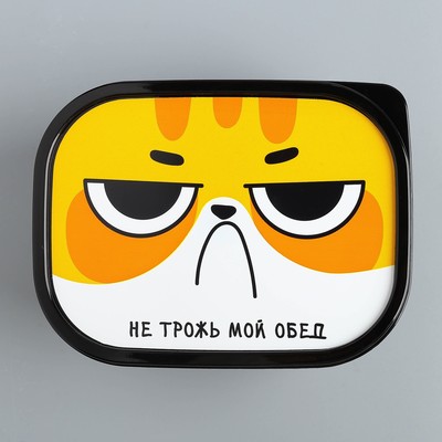 Ланч - бокс прямоугольный «Не трожь мой обед», 500 мл