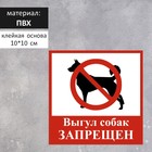 Табличка "ВЫГУЛ СОБАК ЗАПРЕЩЕН" 100 х 100, клейкая основа - Фото 1