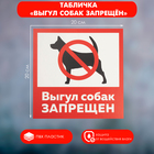 Табличка «ВЫГУЛ СОБАК ЗАПРЕЩЁН» 200×200, самоклеящаяся основа - Фото 1
