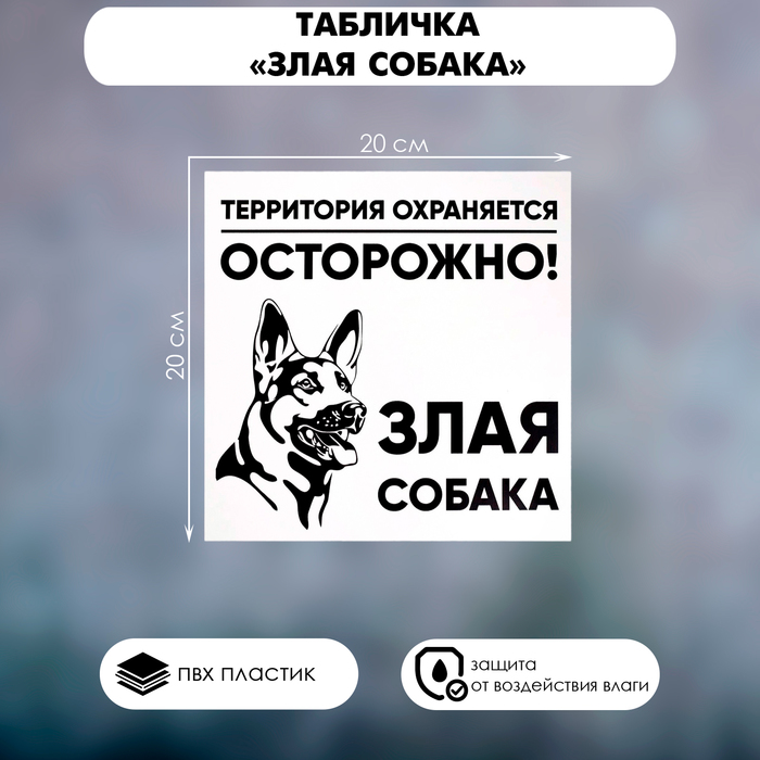 Табличка «ЗЛАЯ СОБАКА» 200×200, клейкая основа - Фото 1