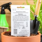 Семена Морковь «НАНТСКАЯ КРАСНАЯ», драже, 300 шт. - Фото 2