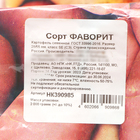 Семенной картофель "Фаворит" 2 кг Элита, р/р 28/55 - Фото 3