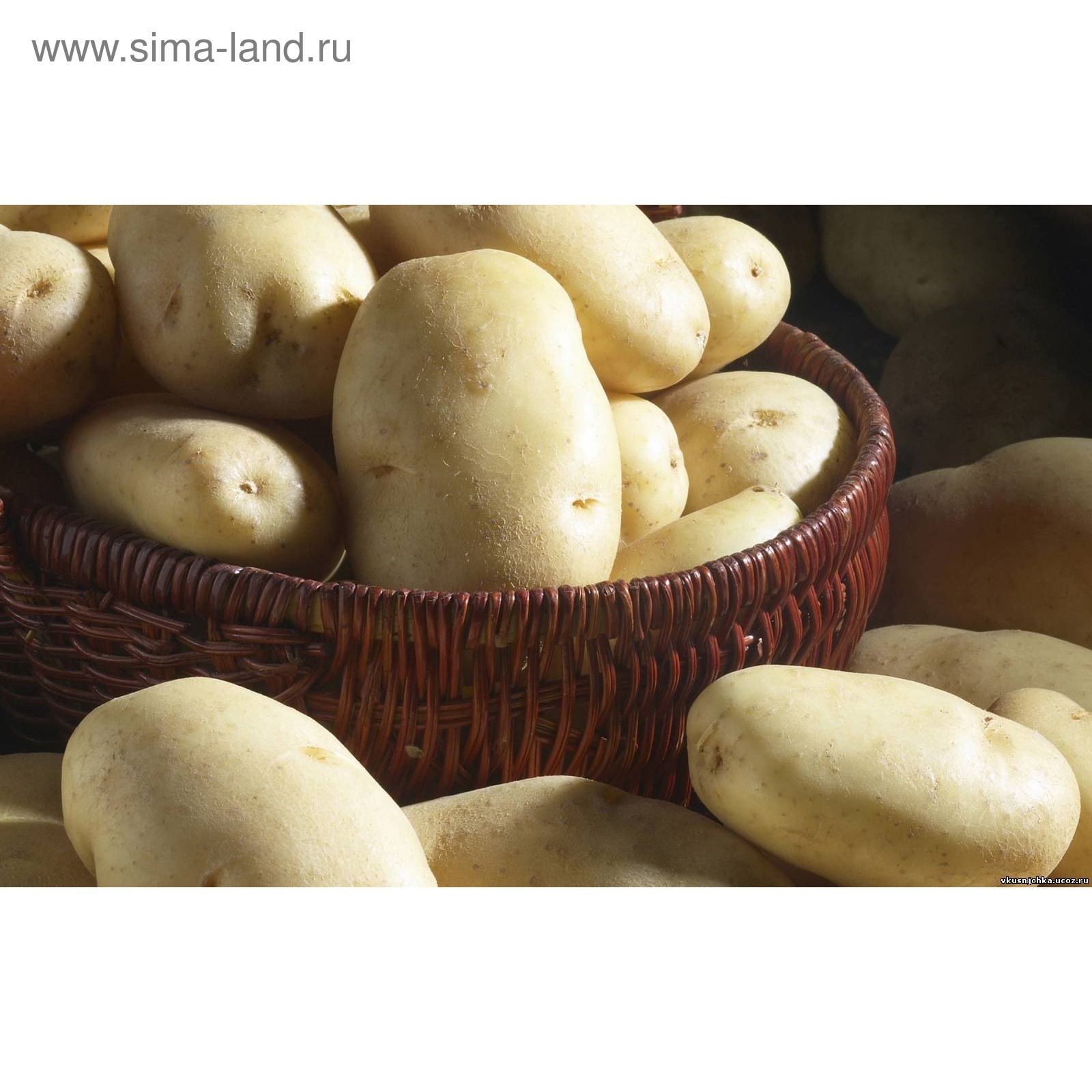 Картофель крепыш фото. Сорт картофеля Крепыш. Репродукция картофеля. Картофель Ажур. Сеянка картошка.