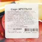 Семенной картофель "Крепыш" 2 кг Элита, р/р 28/55 - Фото 3