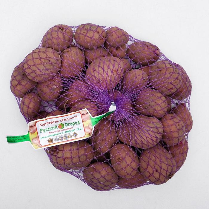 Прошлый год выписал картофель Хозяюшка,Волант,Невский,Горняк.Лето в Архангельске