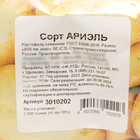 Семенной картофель "Ариэль" 2 кг Супер Элита, р/р 28/55 - Фото 2