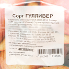 Семенной картофель "Гулливер" 2 кг Элита, р/р 28/55 - Фото 3