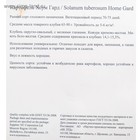 Семенной картофель  "Хоум Гард", бело-желтая мякоть, разбор 28/55, ранний, Весна 2026 - Фото 6