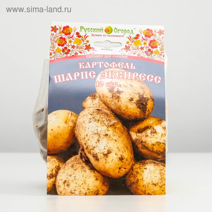 Семенной картофель "Шарпс Экспресс", белая мякоть, разбор 28/55, ранний, Весна 2026 - Фото 1