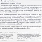 Семенной картофель "Салблю ", фиолетовая мякоть, разбор 28/55, среднепоздний, Весна 2026 - Фото 3