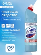 Чистящее средство Domestos «Свежесть атлантики», гель, универсальное, 750 мл - Фото 1