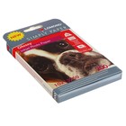 Фотобумага для струйной печати А6 (100 х 150 мм), 50 листов LOMOND, 200 г/м2, односторонняя, глянцевая - Фото 2