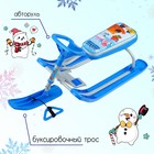 Снегокат «Тимка спорт 2 Ми-ми-мишки», ТС2/ММ1, цвет голубой/серый - Фото 2