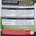 Суспензия Хлореллы БИО-комплекс, концентрат, 250 мл - Фото 2