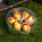 Фигурка пасхальная «Цыплята в яйце на травке», набор 6 шт., 4.5×14×14 см - Фото 3