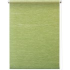 Рулонная штора «Концепт», 100 х 175 см, цвет зелёный - фото 298274156