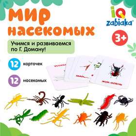 Развивающий набор с карточками «Мир насекомых», по методике Домана