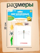 Развивающий набор с карточками «Мир насекомых», по методике Домана - Фото 5