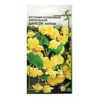 Семена цветов Бегония ампельная "Шансон" клубневая, желтая, 10 шт - фото 9506886
