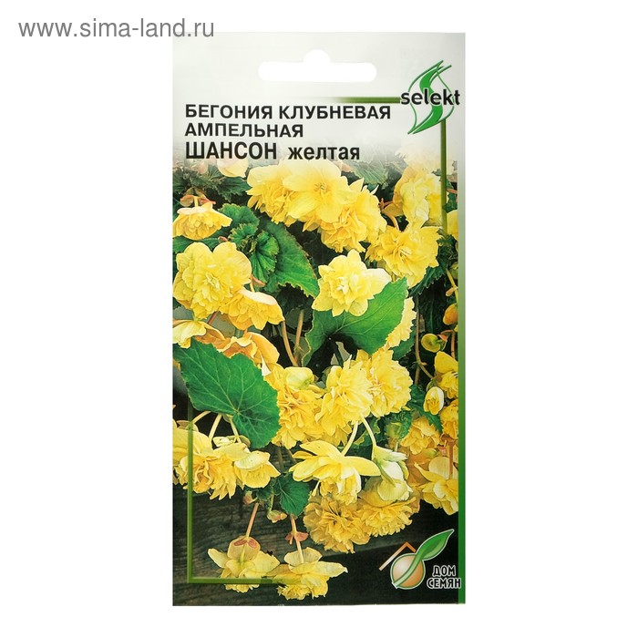 Семена цветов Бегония ампельная "Шансон" клубневая, желтая, 10 шт - Фото 1