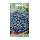 Семена цветов Лобелия "Кристалл Палас" клубневая    1400 шт 4726062