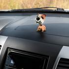 Собака на панель авто, качающая головой, дворняжка - фото 6260841