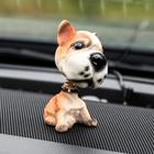 Собака на панель авто, качающая головой, дворняжка - фото 6260842