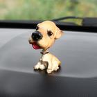 Собака на панель авто, качающая головой, уэльский терьер - фото 320613367