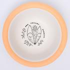 Миска - тарелочка детская из бамбука «Вкусняшки», цвет и рисунок МИКС, 250 мл, 15х15х4 - фото 39645942