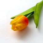 Ручка прикол шариковая синяя паста «Тюльпан» подарочная на 8 марта МИКС - Фото 6