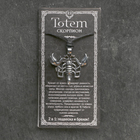 Амулет-брелок, тотем "Скорпион" №22, металлический (комплект 2 шт) - фото 23901447