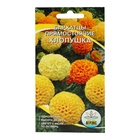 Семена цветов Бархатцы прямостоячие «Хлопушка», 0.2 г - Фото 3