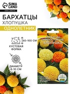 Семена цветов Бархатцы прямостоячие «Хлопушка», 0.2 г - Фото 1