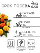 Семена цветов Бархатцы прямостоячие «Хлопушка», 0.2 г - Фото 2