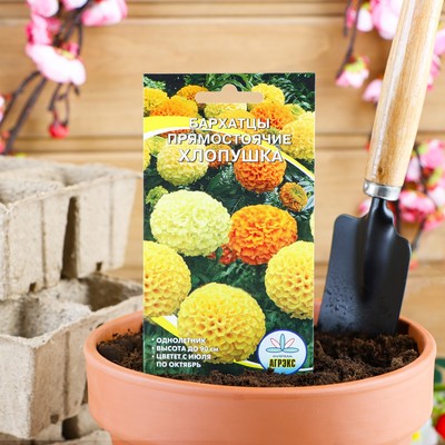 Семена цветов Бархатцы прямостоячие «Хлопушка», 0.2 г