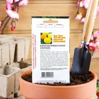 Семена цветов Бархатцы прямостоячие «Хлопушка», 0.2 г - Фото 2