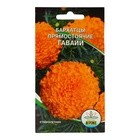 Семена цветов Бархатцы прямостоячие «Гавайи», 0.2 г - Фото 1